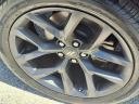 Thumbnail image of 2023 Dodge Challenger at Cecil Atkission Motors Uvalde