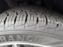 Thumbnail image of 2023 Toyota Camry at Wagner Ford Toyota