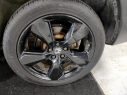 Thumbnail image of 2019 Honda Passport at Riverfront Auto Sales