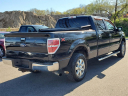 Thumbnail image of 2014 Ford F-150 at Serra Honda Brighton