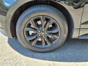 Thumbnail image of 2022 Ford Edge at Liccardi Ford Inc
