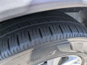 Thumbnail image of 2019 Nissan Rogue at Lee Nissan