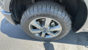 Thumbnail image of 2017 Ford F-150 at Dick Campagni's Capital Ford