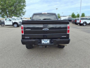 Thumbnail image of 2014 Ford F-150 at Harrison Ford of Mankato