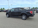 Thumbnail image of 2014 Ford F-150 at Harrison Ford of Mankato