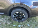 Thumbnail image of 2025 Kia Sorento at Auffenberg Kia of Cape Girardeau
