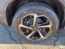 Thumbnail image of 2022 Chevrolet Trailblazer at Green Brook Buick Gmc