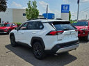 Thumbnail image of 2024 Toyota RAV4 at LaFontaine Toyota Kia Genesis of Dearborn