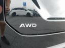 Thumbnail image of 2025 Honda Pilot at Wetzel Honda