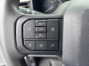 Thumbnail image of 2023 Ford F-250 Super Duty at WORKTRUX LLC