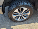 2020 Ford F-150 XL at Teague Ford Lincoln