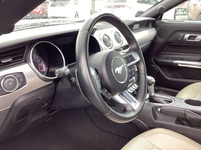 Thumbnail image of 2022 Ford Mustang at LewisMotorSales of Lafayette, IN