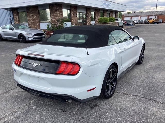 Thumbnail image of 2022 Ford Mustang at LewisMotorSales of Lafayette, IN