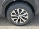 Thumbnail image of 2025 Subaru Outback at LaFontaine Subaru