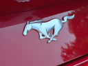 Thumbnail image of 2024 Ford Mustang at Sewell Cadillac Of San Antonio