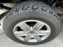 Thumbnail image of 2019 Ford F-150 at O'Connor's Auto Outlet