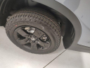 Thumbnail image of 2025 Honda Ridgeline at Tom Scott Honda