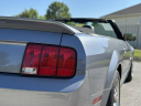Thumbnail image of 2007 Ford Shelby GT500 at BMW of Schererville - USED