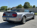 2007 Ford Shelby GT500 Base at BMW of Schererville - USED