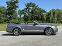 Thumbnail image of 2007 Ford Shelby GT500 at BMW of Schererville - USED