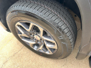 Thumbnail image of 2024 GMC Sierra 1500 at Janzen Gmc