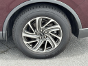Thumbnail image of 2020 Lincoln Aviator at Champion Chevrolet Cadillac