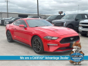 Thumbnail image of 2020 Ford Mustang at McKinney-Wells Auto Group