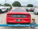 Thumbnail image of 2020 Ford Mustang at McKinney-Wells Auto Group