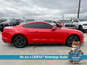 Thumbnail image of 2020 Ford Mustang at McKinney-Wells Auto Group