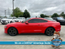 Thumbnail image of 2020 Ford Mustang at McKinney-Wells Auto Group