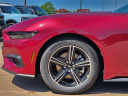 Thumbnail image of 2025 Ford Mustang at Glenn Polk Ford Autoplex