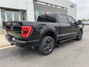Thumbnail image of 2023 Ford F-150 at Rochester Ford
