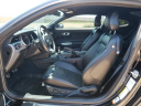 Thumbnail image of 2021 Ford Mustang at North Park Lexus Rio Grande Valley - NEW