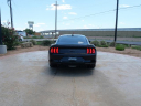 Thumbnail image of 2021 Ford Mustang at North Park Lexus Rio Grande Valley - NEW