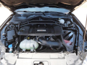 Thumbnail image of 2021 Ford Mustang at North Park Lexus Rio Grande Valley - NEW