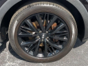 Thumbnail image of 2021 Kia Telluride at Kia of Cape Coral