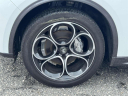 Thumbnail image of 2022 Alfa Romeo Stelvio at Regency Autos of Medford