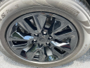 Thumbnail image of 2022 Chevrolet Silverado 1500 Limited at Summerville Ford