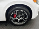 Thumbnail image of 2022 Alfa Romeo Stelvio at Fiat Alfa Romeo of Westbury