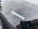 Thumbnail image of 2023 Jeep Grand Cherokee L at Golling Chrysler Dodge Jeep Ram