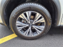 Thumbnail image of 2023 Nissan Rogue at Liccardi Ford Inc