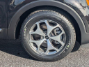 Thumbnail image of 2022 Kia Telluride at Daytona Kia - New