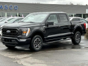 Thumbnail image of 2022 Ford F-150 at Lasco Ford