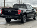 Thumbnail image of 2022 Ford F-150 at Lasco Ford
