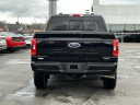 Thumbnail image of 2022 Ford F-150 at Lasco Ford