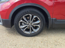Thumbnail image of 2021 Honda CR-V at Morgan Buick GMC Shreveport - NEW