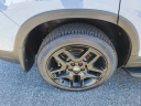 Thumbnail image of 2024 Honda Passport at The New Babylon Honda
