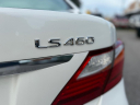 Thumbnail image of 2010 Lexus LS 460 at SOUTHEAST AUTO INC