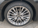 Thumbnail image of 2025 Lexus IS 300 at GermainLexus-New of Naples, FL