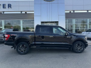 Thumbnail image of 2023 Ford F-150 at Rochester Ford